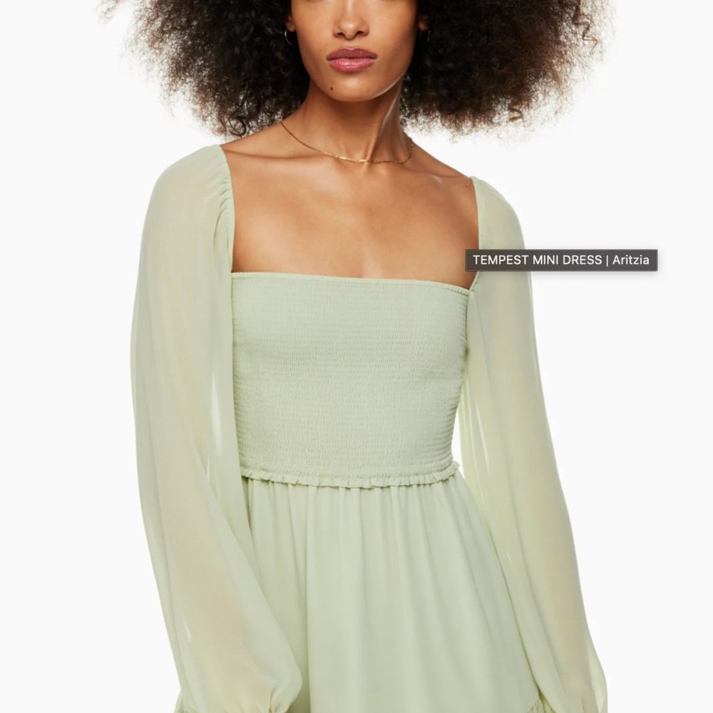 Aritzia Tempest Mini Dress